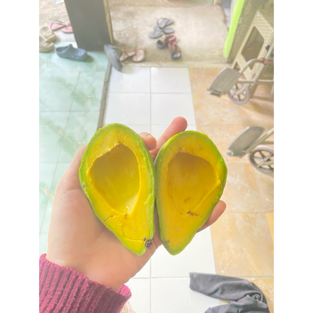 

Alpukat padang per peti