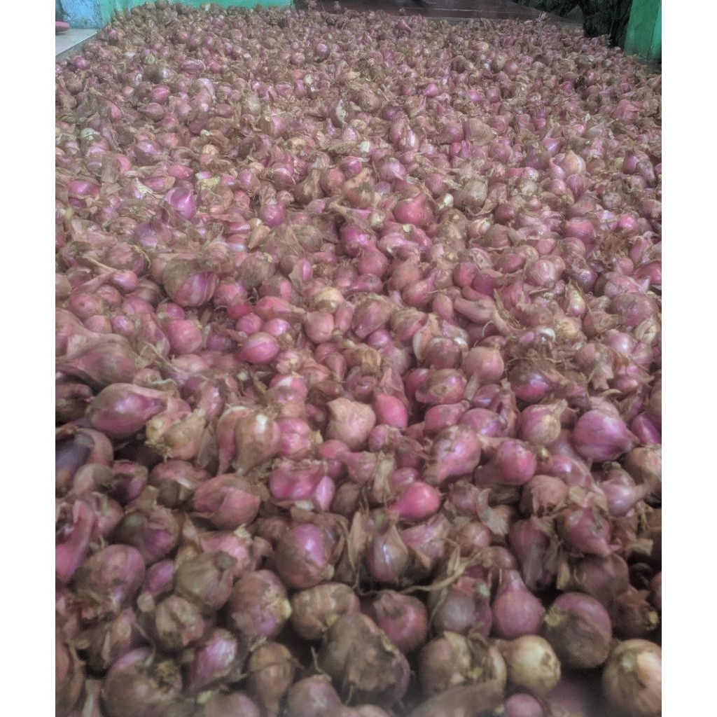 

Jual Bawang merah per 1kg Murah