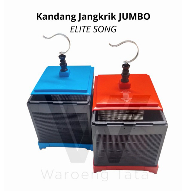 Kandang Jangkrik JUMBO Elite Song