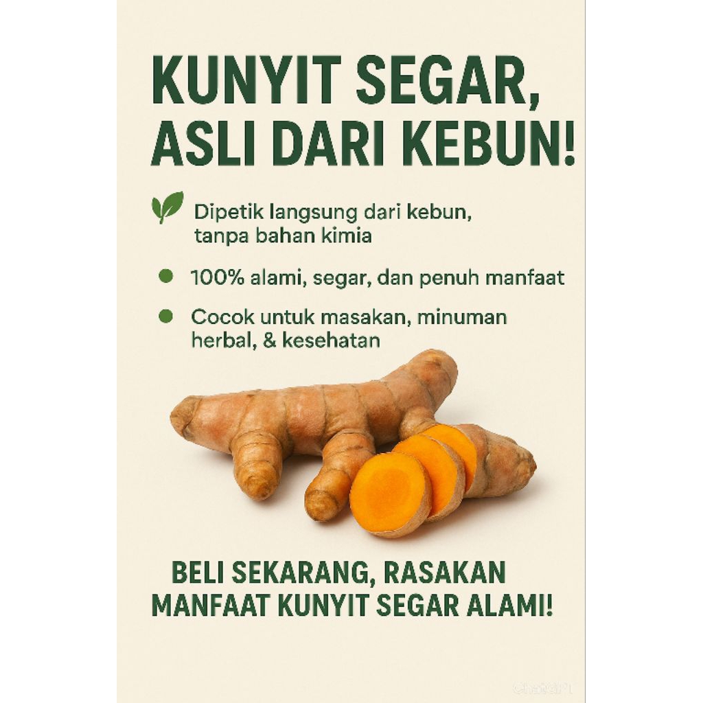 

kunyit alami segar 1kg an