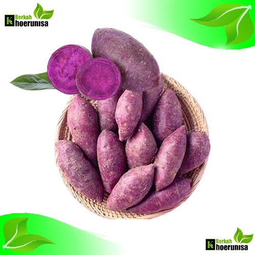 

Umbi Ubi Jalar Ungu Segar 1 kg masih fresh