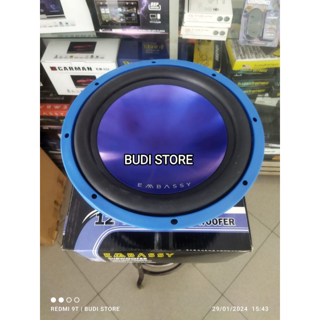subwoofer Embassy 128 12 inch