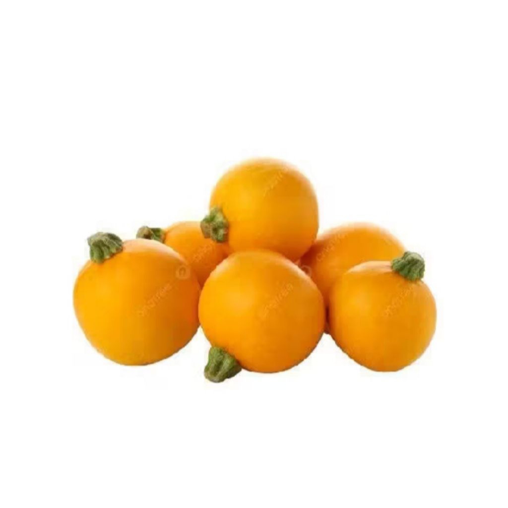 2 biji benih bibit Zucchini gold bulat