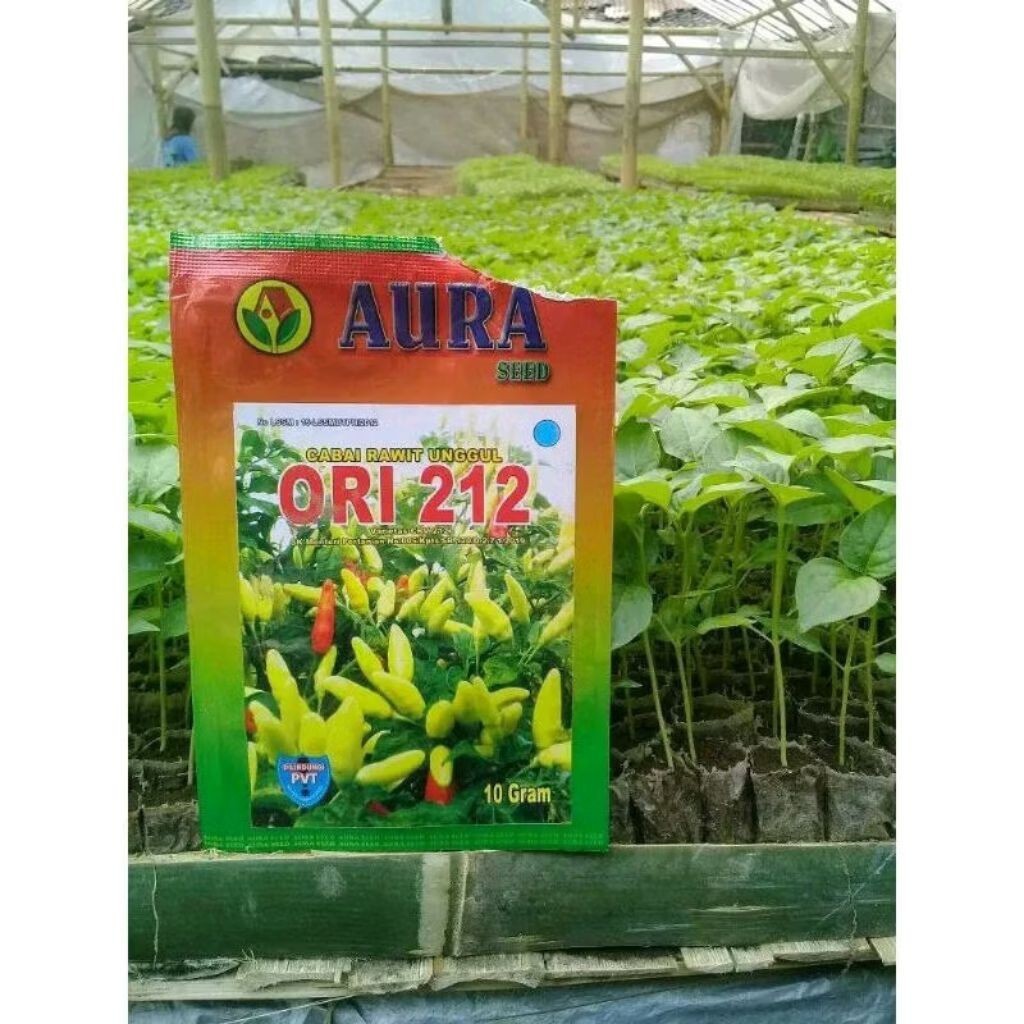PROMO SPESIAL!!! Aura Seed Cucumber Rawit Unggul ORI 212 10 Gram