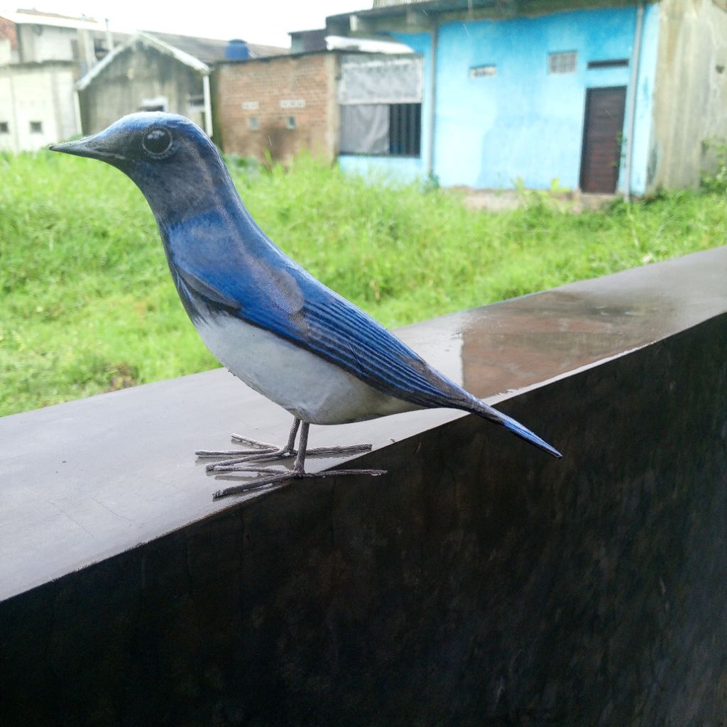 BONEKA MAINAN / ALAT PANCING BURUNG SELENDANG BIRU