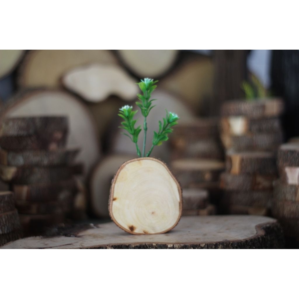 vas pot bunga mini minimalis dari kayu asli pajangan ruangan hiasan rumah
