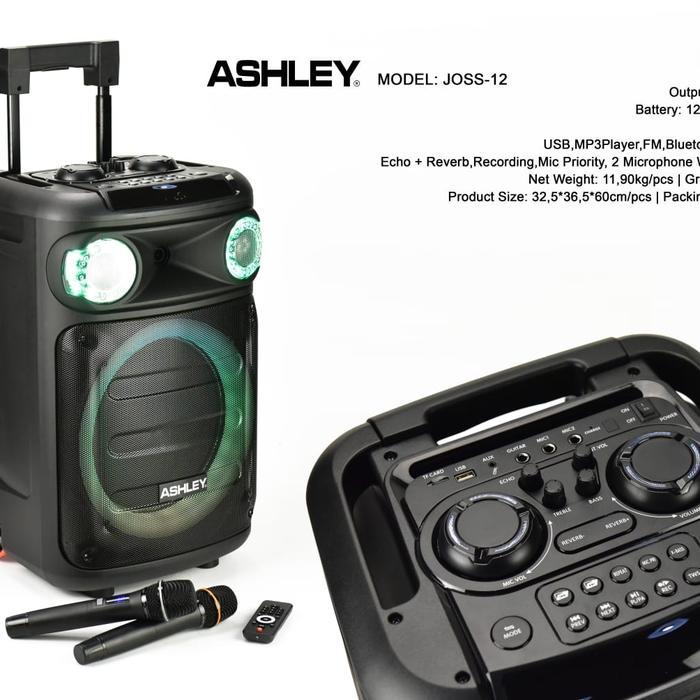 Portable Wireless Speaker Ashley Joss 12 Joss12 Original 12 Inch