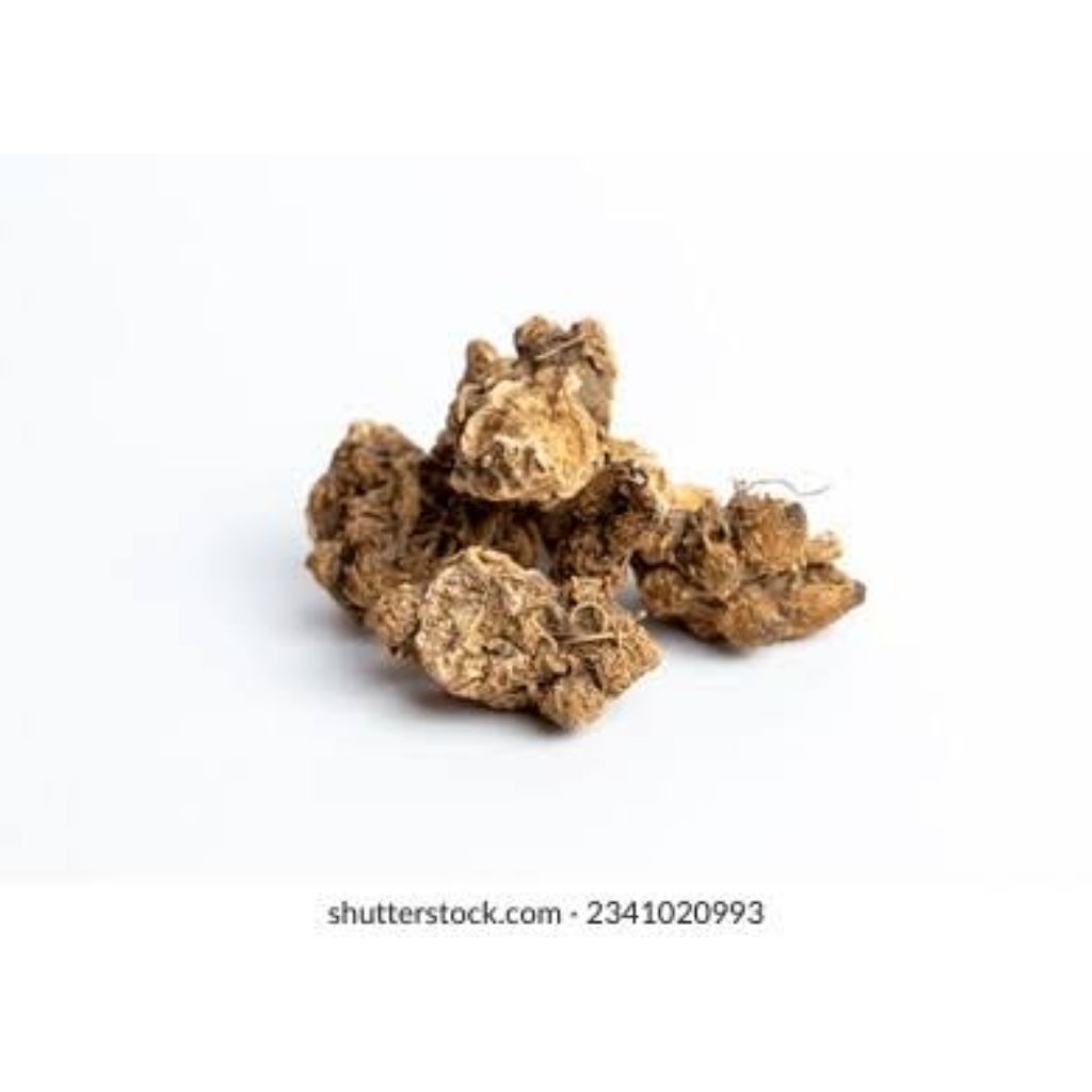 

100gr 生蒼朮 Sheng Cang Zhu Atractylodes Lancea Atractylodes Rhizome Rhizoma Atractylodis