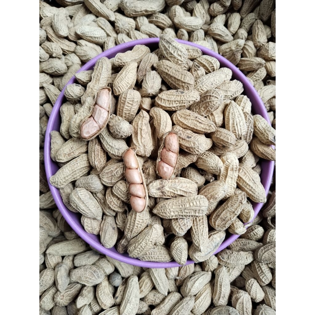 

KACANG KULIT SANGRAI BENDO 1 KILOGRAM