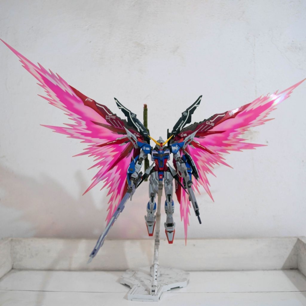 MG DESTINY ZGMF-X425 DRAGON MOMOKO