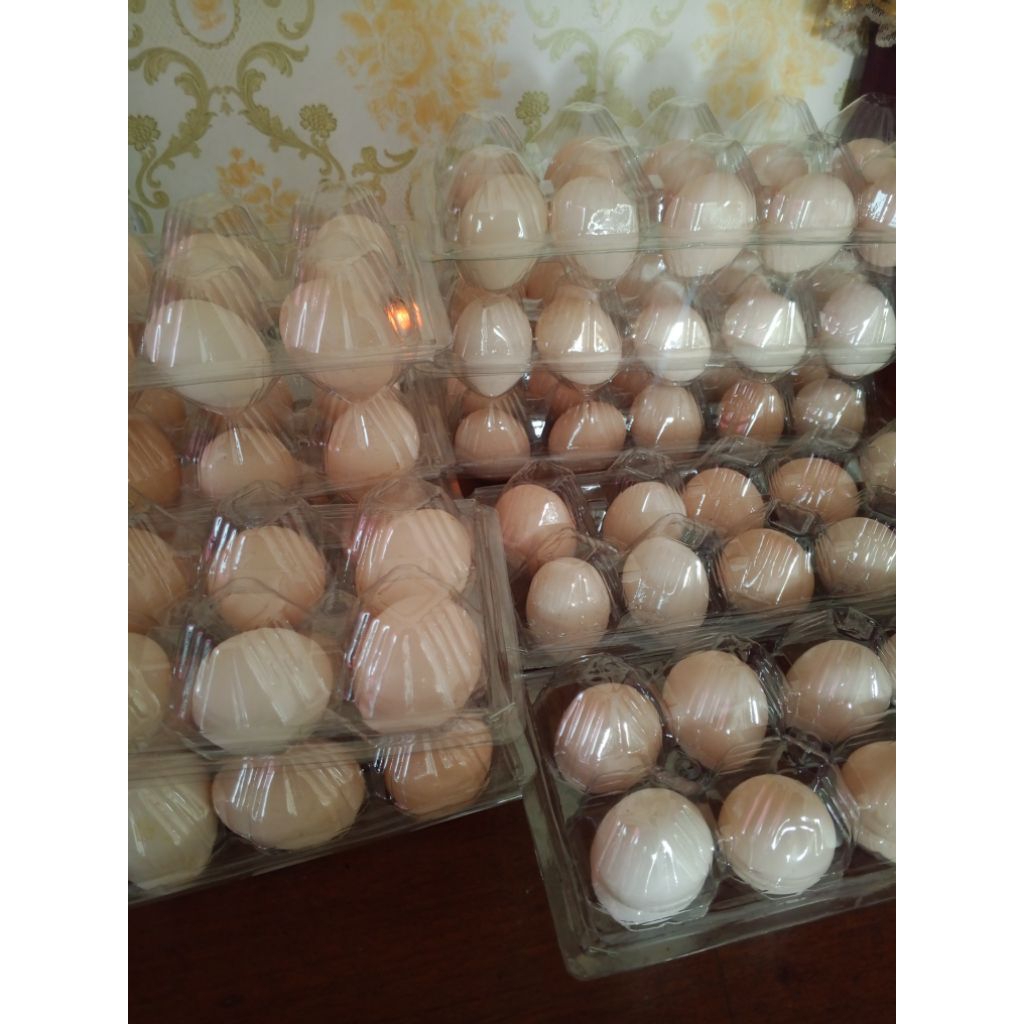 

Telur Ayam kampung 6 butir