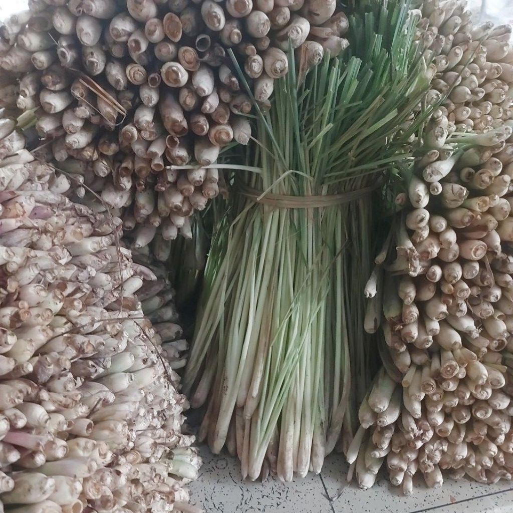 

Sereh Lokal Pilihan Fresh 1KG