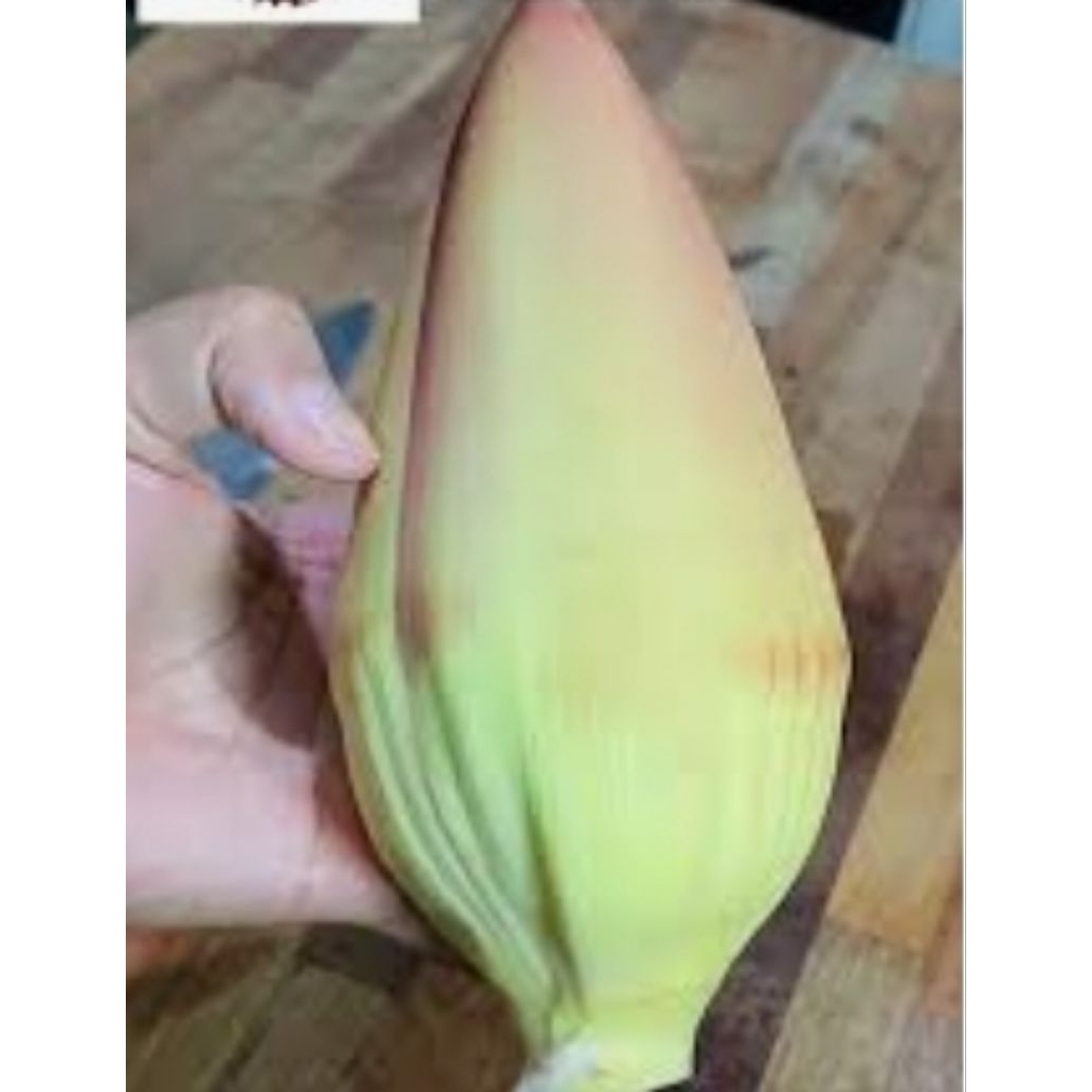 

Jantung Pisang Klutuk Segar Sehat Berkhasiat