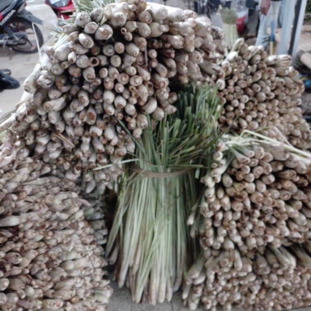 

Sereh Lokal Pilihan Fresh 1 KG