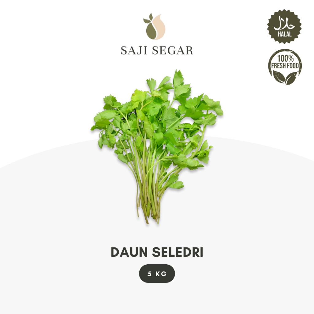 

Saji Segar Daun Seledri Grosir