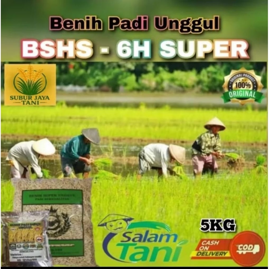 BENIH PADI BSHS 6H SUPER KEMASAN 5KG