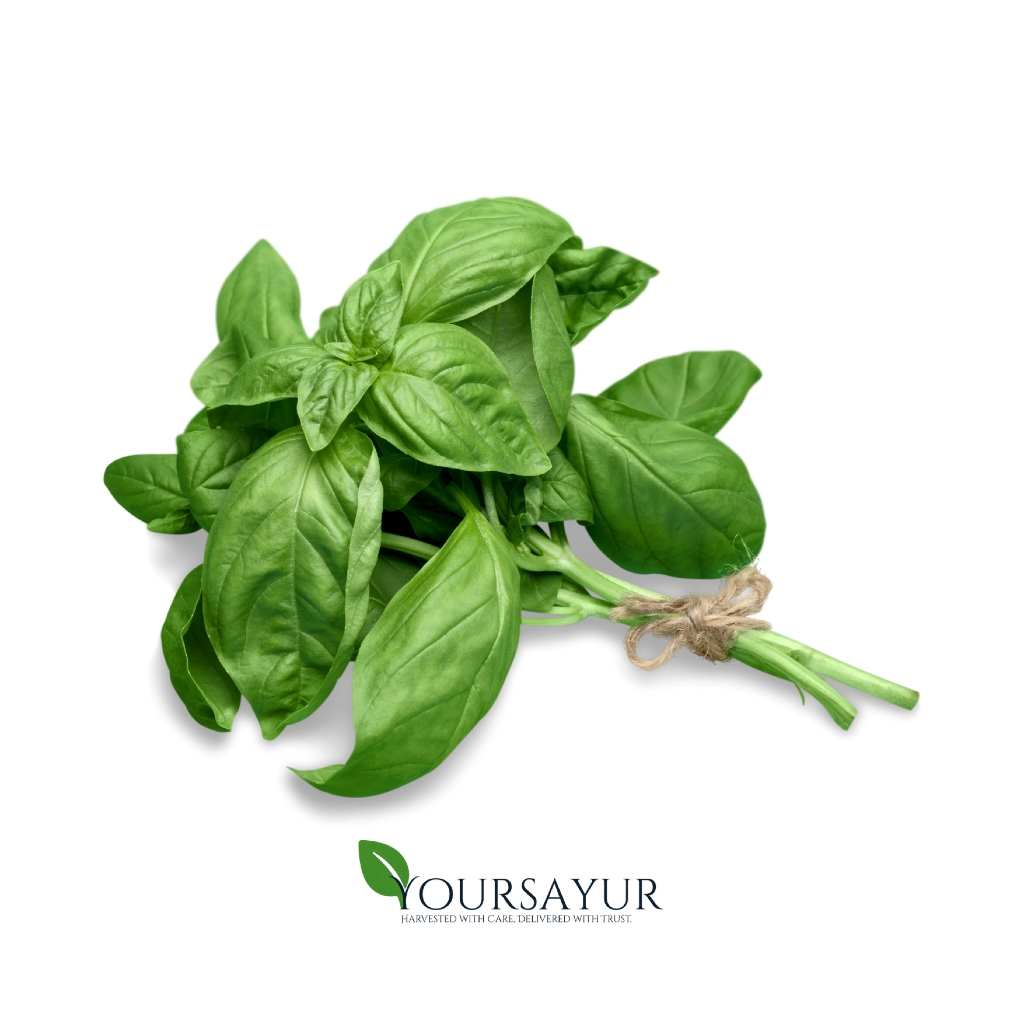

Daun Basil Segar 1kg | Fresh Daun Basil | Sayur & Buah