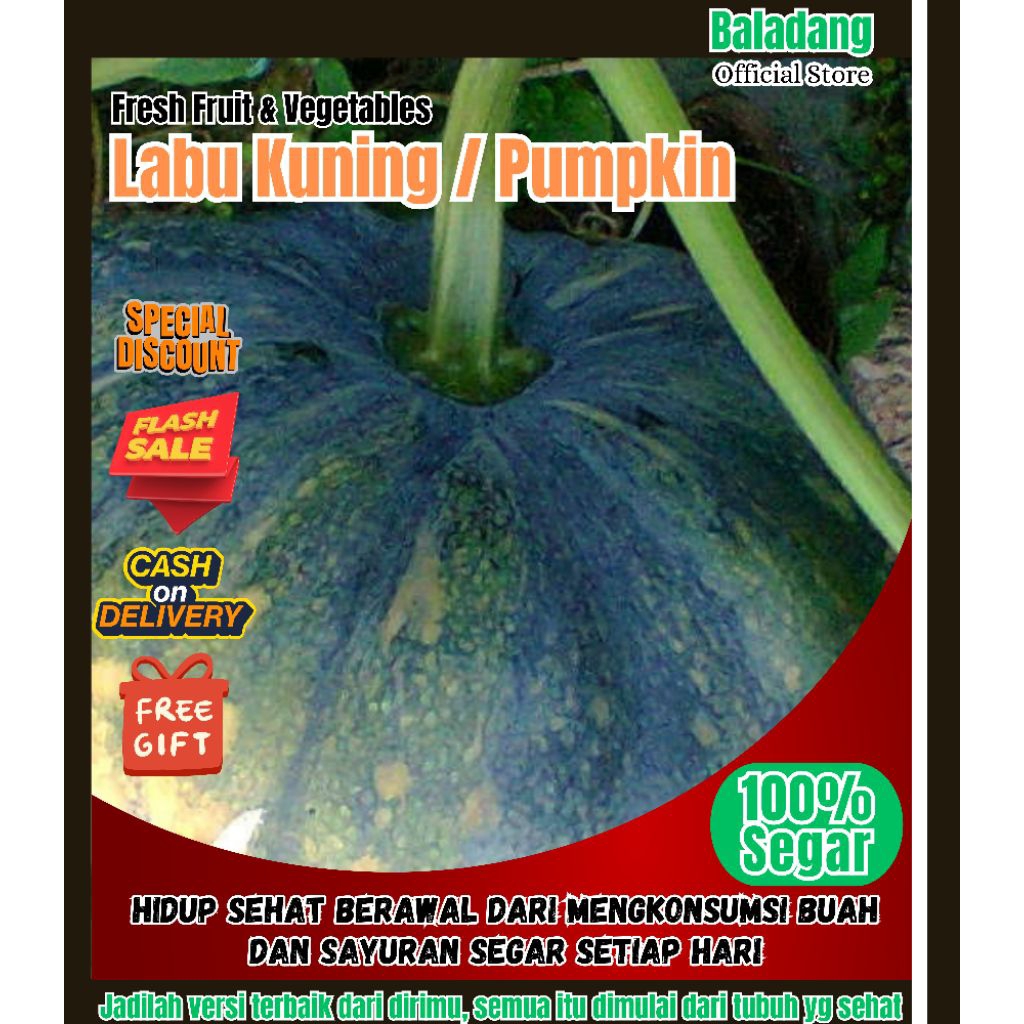 

BOS - Labu Kuning / Waluh / Labu Pumpkin