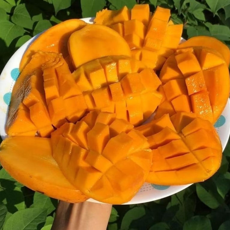 

MANGGA HARUMANIS KLONAL /selalu baru 1kg