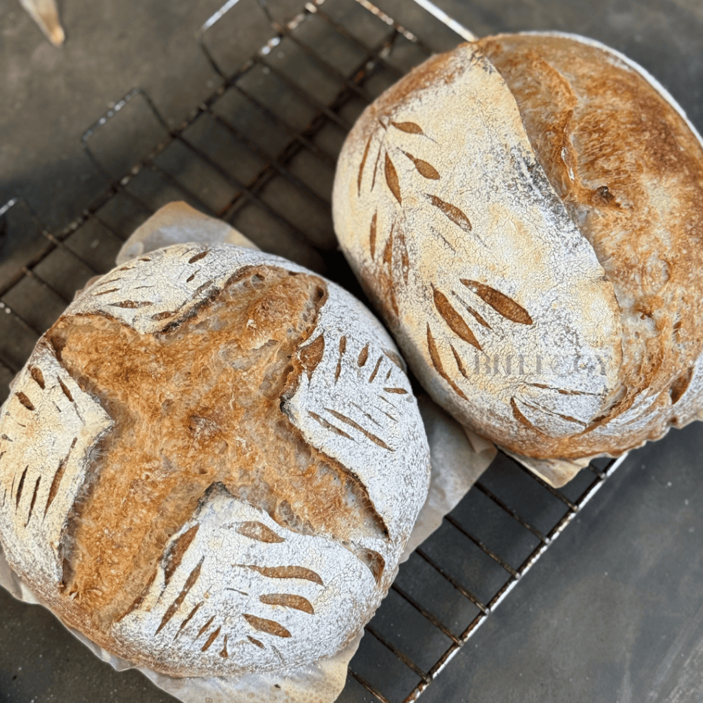 

Sourdough Country Bread Organic Flour Varian