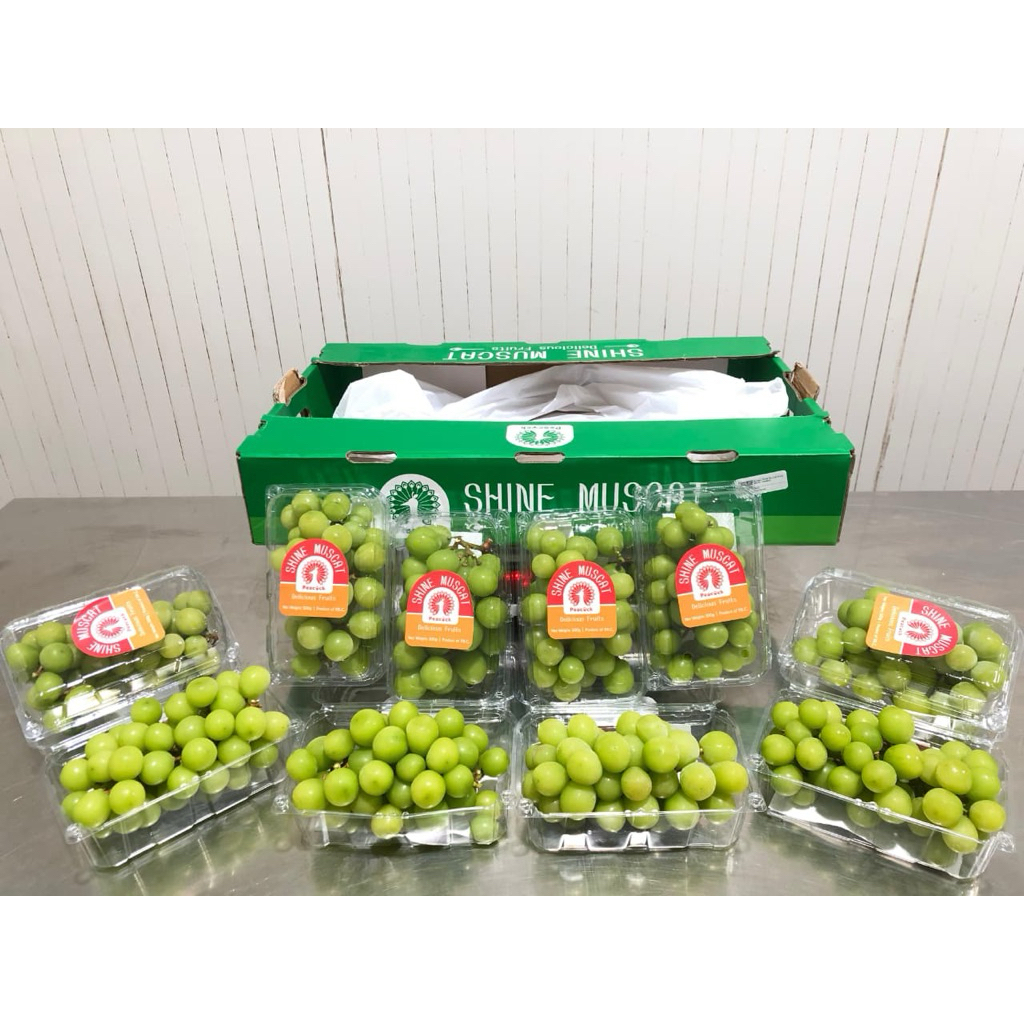 

Anggur Hijau Shine Muscat Manis