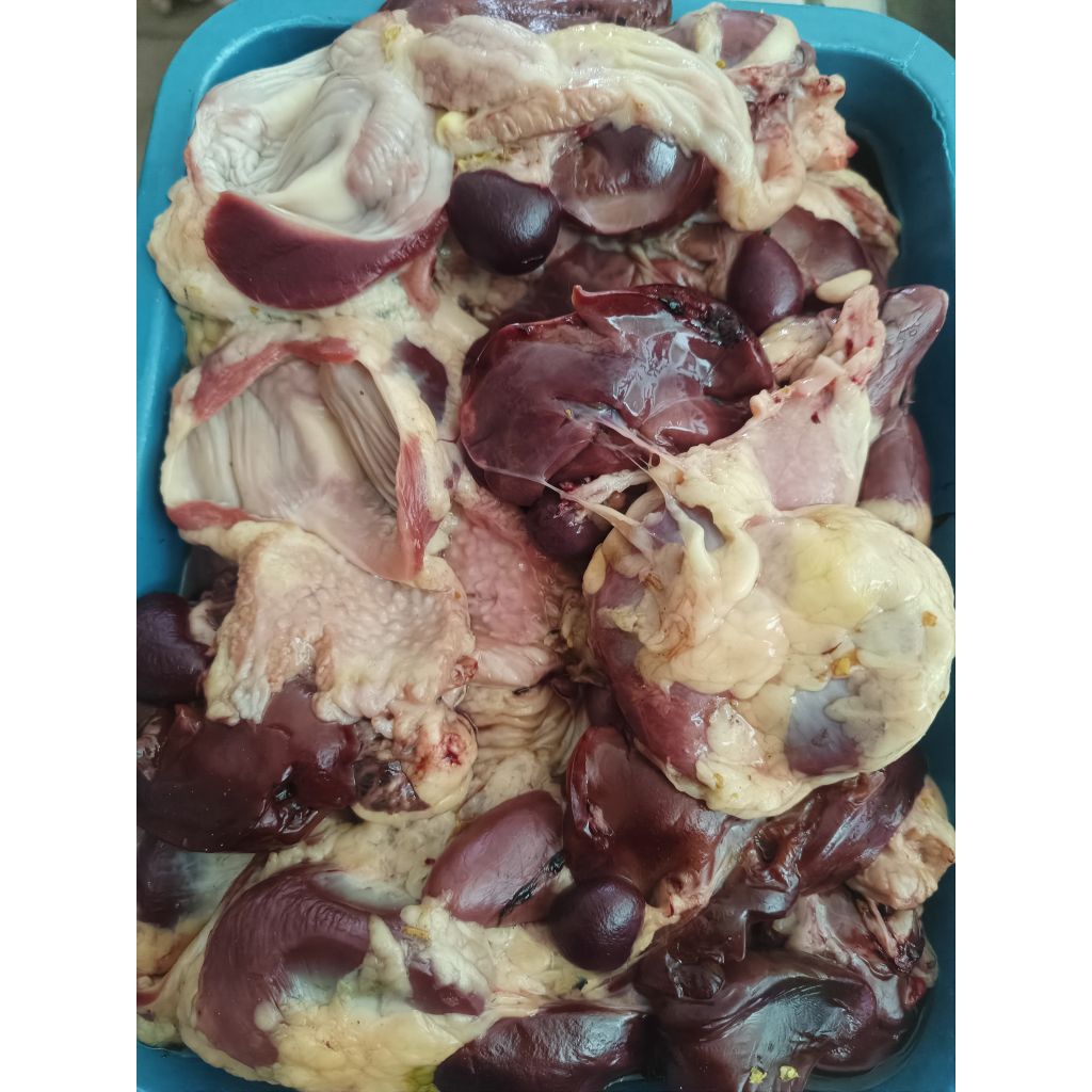 

Hati ampela ayam isi 5 500grm