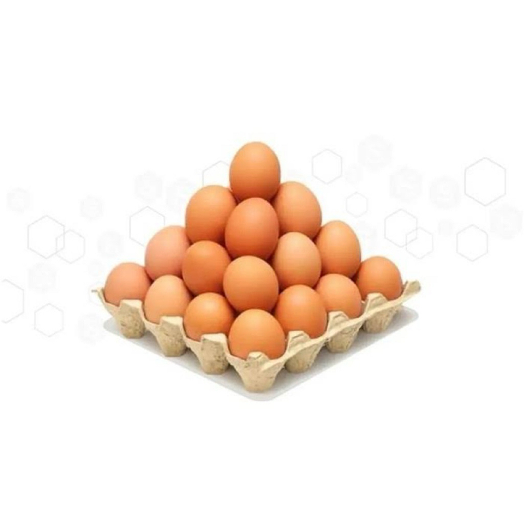 

TELUR AYAM HORN FRESH MENTAH