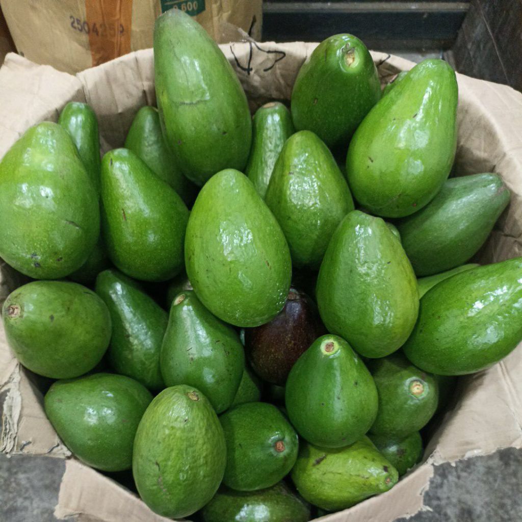 

alpukat mentega lampung timur 900-1kg (isi 1-2)