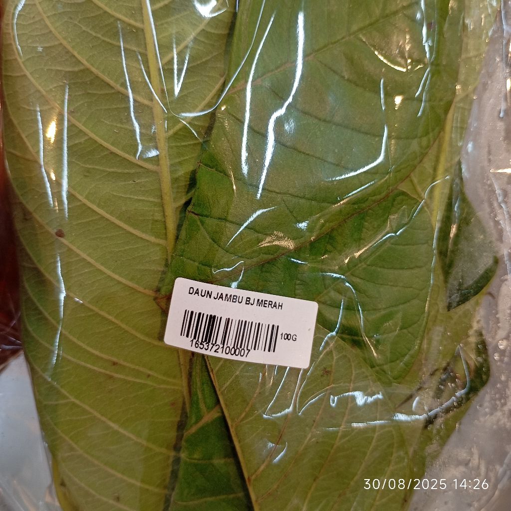 

Daun Jambu Biji Merah Segar 100gram Denpasar Bali