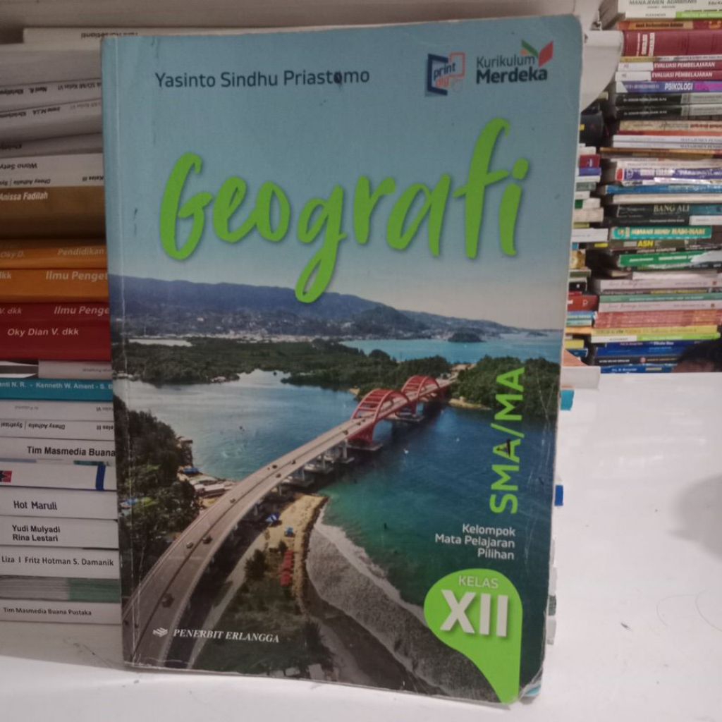 buku Geografi SMA kelas 3-12 penerbit erlangga