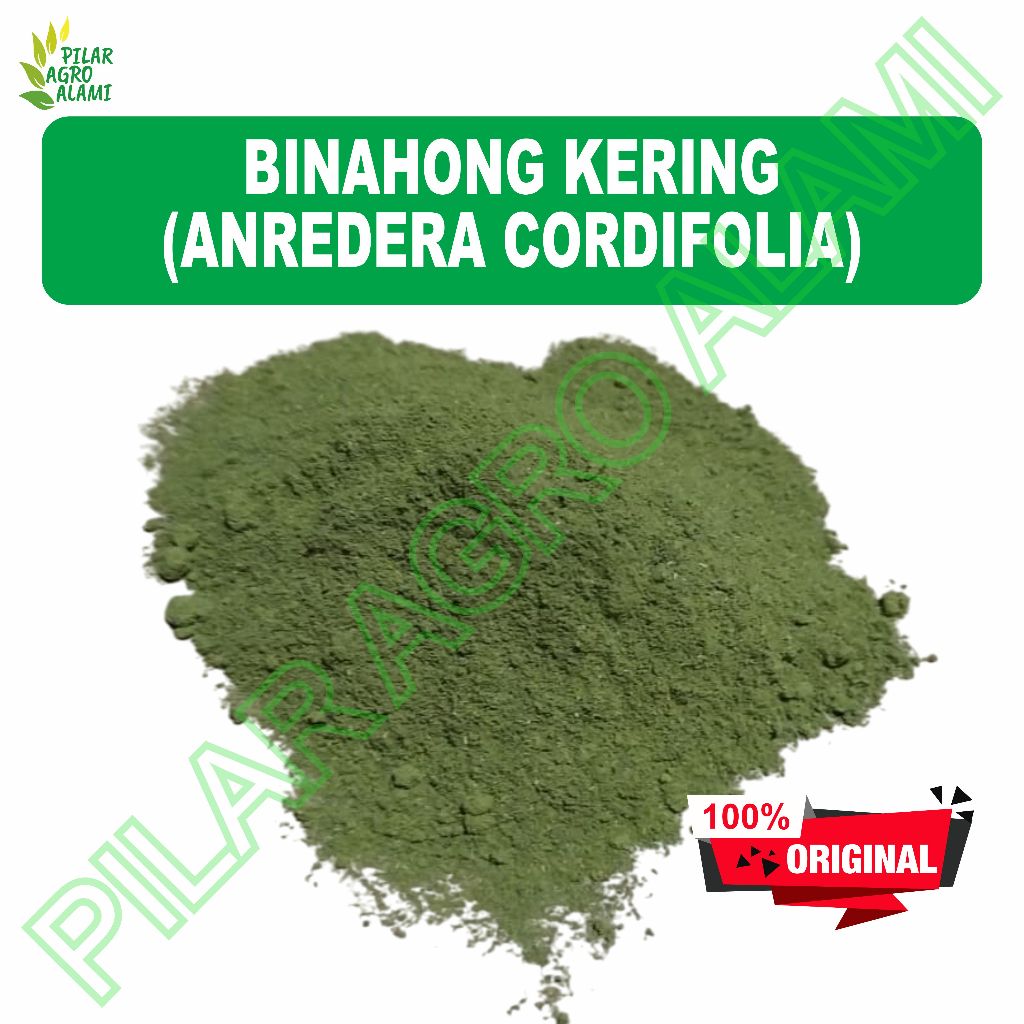 

Binahong bubuk murni asli tanpa campuran