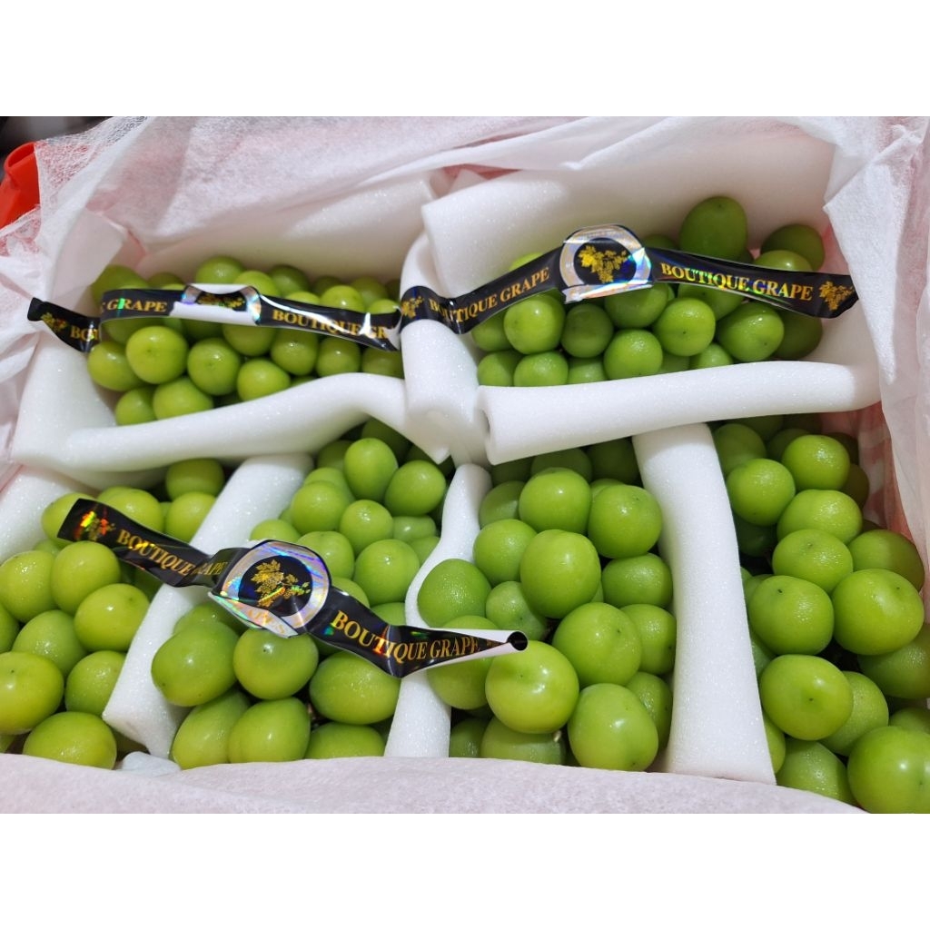 

anggut muschat perkeranjang 6kg