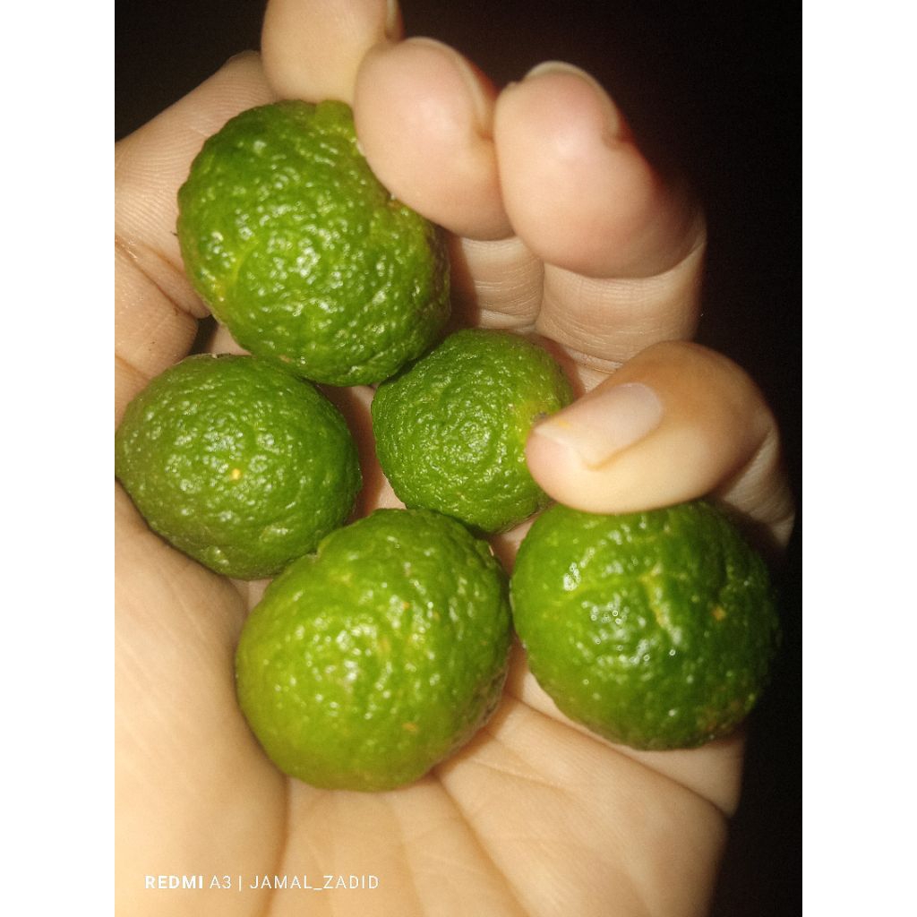 

jeruk limau 250grm