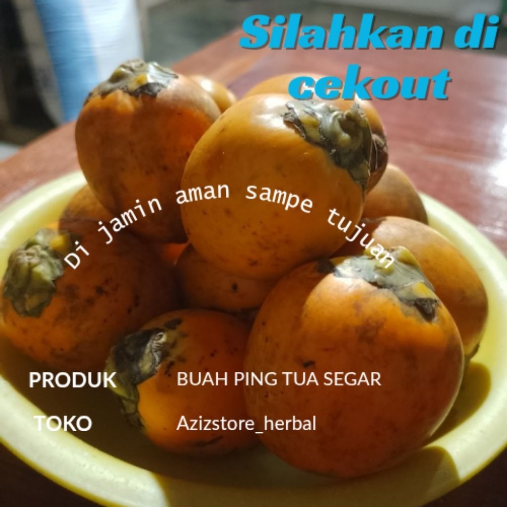 

buah pinang tua segar siap kirim berat 500 gram