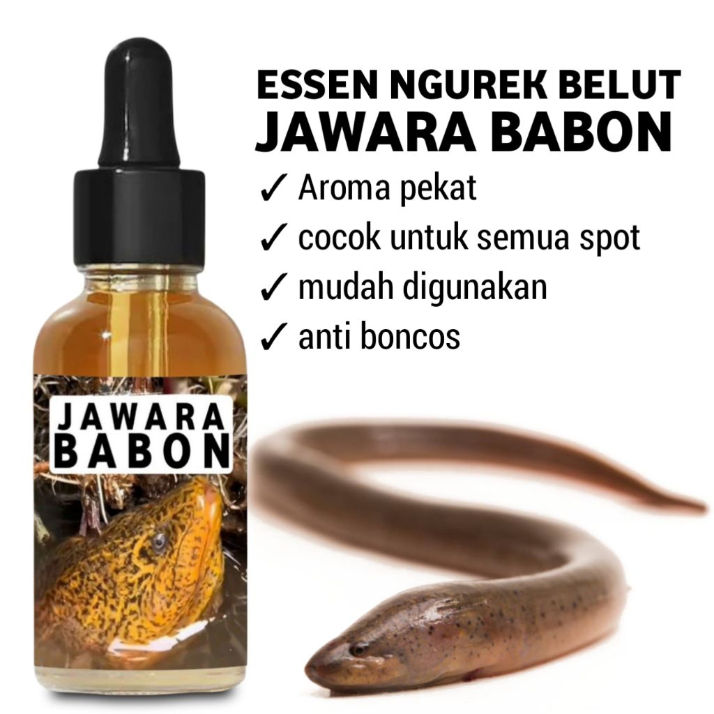 Essen pancing belut sawah jawara babon