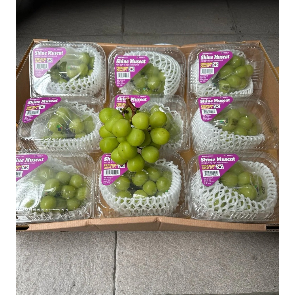 

Buah Anggur Shine Muscat Korea Premium / Anggur Green Muscat Korea 450grm / Pack