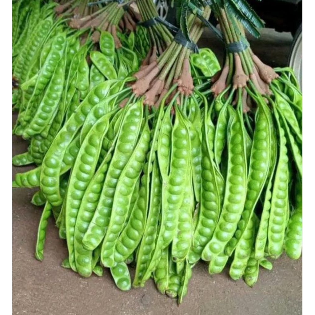 

pete kampung serba 5000