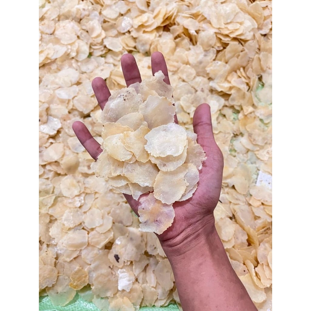 

5KG emping melinjo mentah super khas mancak serang banten