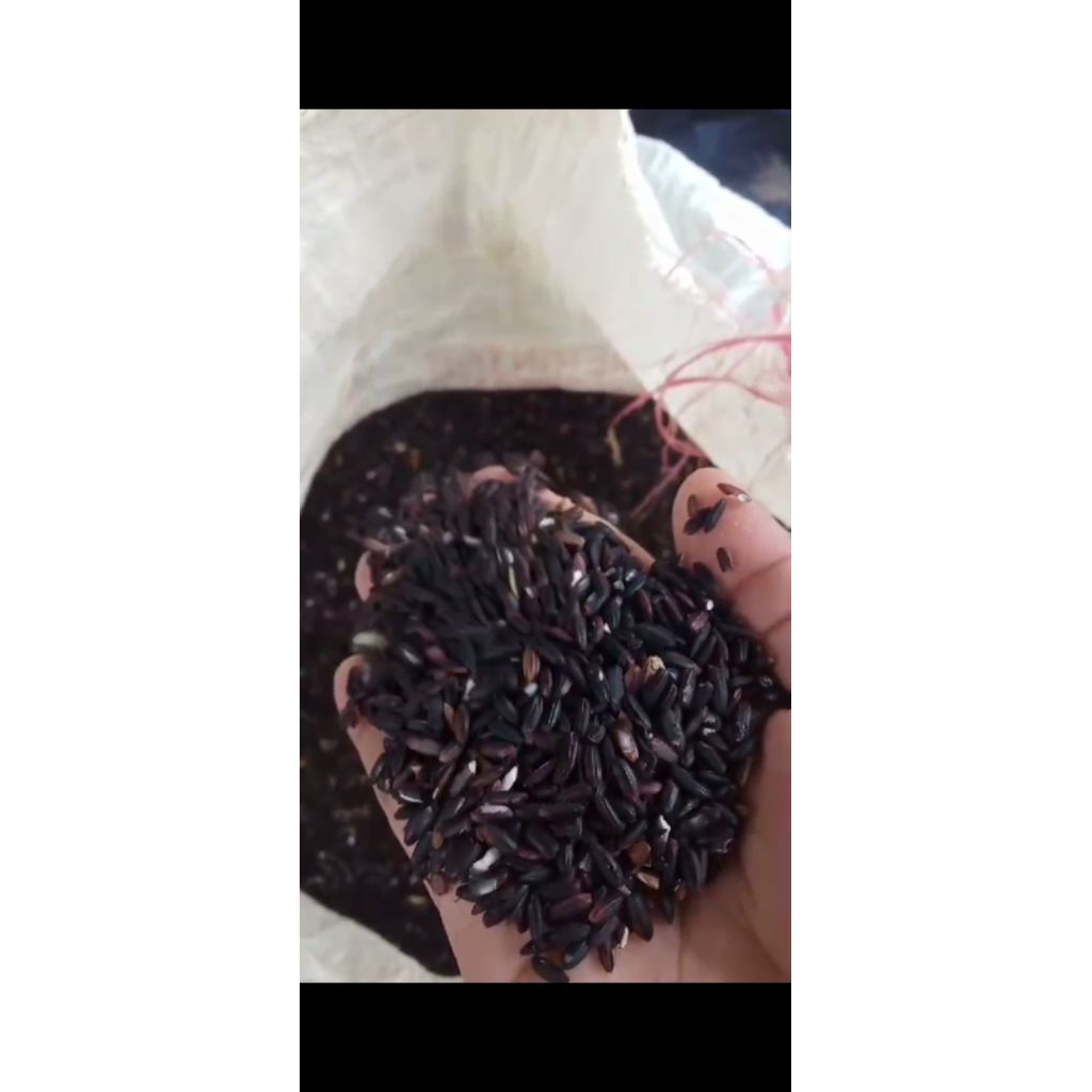 

tepung ketan hitam asli kemasan 250gram