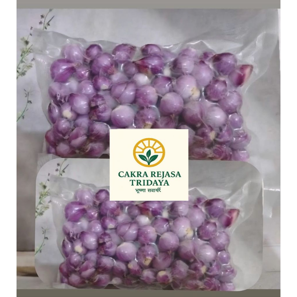 

Bawang Merah Kupas Bersih Super Fresh grade A 100%