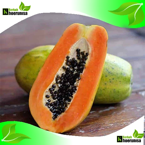 

Buah Pepaya California Madu Manis Segar 1 kg