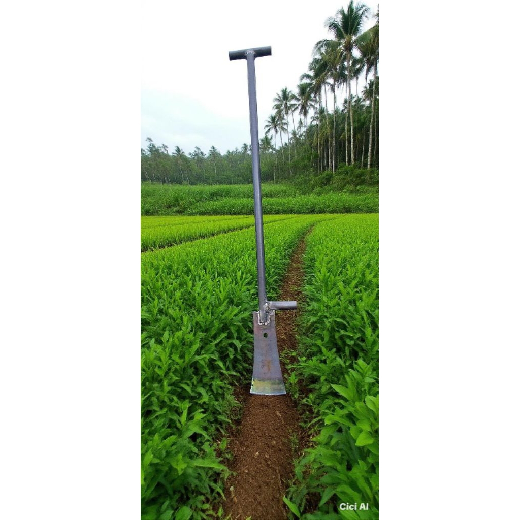 dodos tanah dodos sawit baja per asli