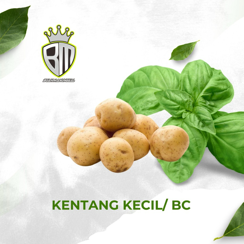 

Kentang Batu Malang 1kg 15-22biji / Kentang Fresh / Kentang asegar / Sayur Kentang