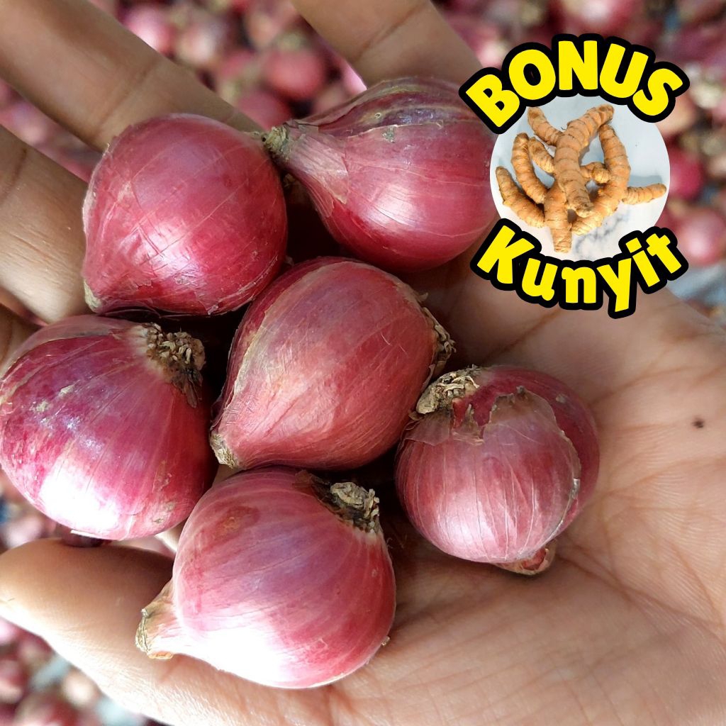 

Bawang merah Brebes Nganjuk Lokal Super Premium Murah Pedas Sedap Bumbu dapur nusantara