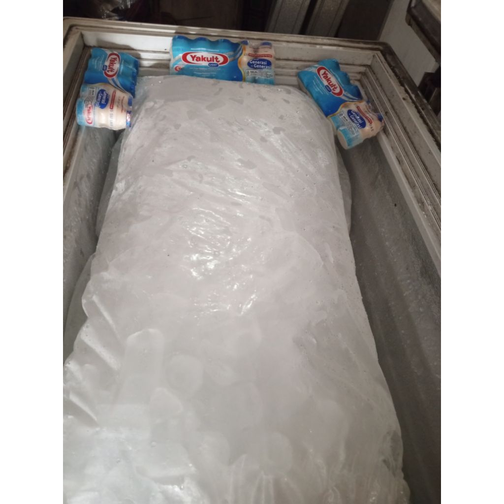 bundling es kristal hemat dan Yakult light