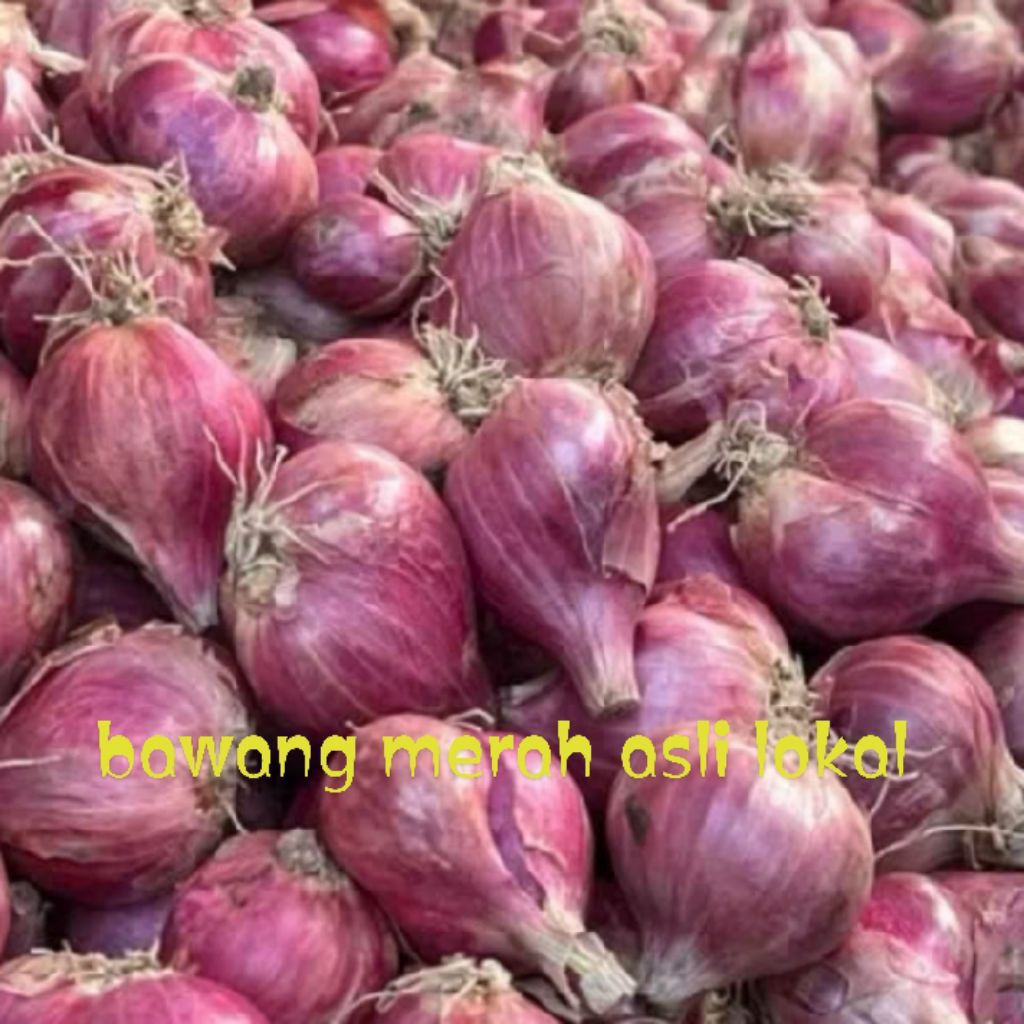

bawang merah kering menambah aroma pasakan anda asli hasil petani lokal harga murah 1 kg