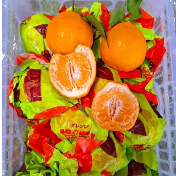 

JERUK DEKOPON PAPAGAN 1 KERANJANG 13kg