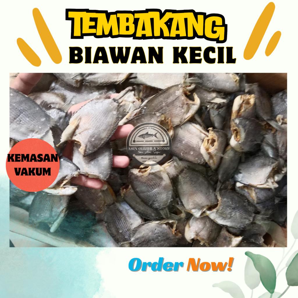 

Ikan Asin Tembakang / Ikan Asin Biawan Kecil Kemasan Vakum | 250gr - 500gr - 1kg