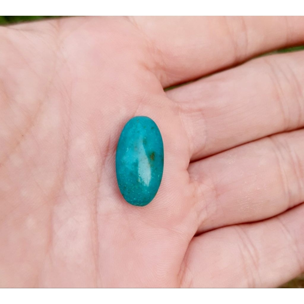 pirus persia polos, ada serat hitam sedikit