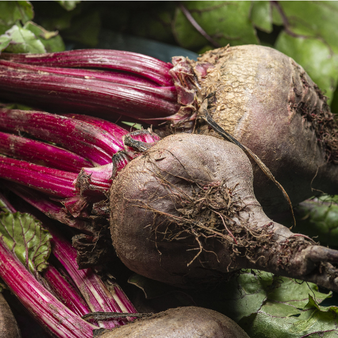 

Buah Bit Merah 1 Kg _ Buah Beet 1 Kg _ Buah Bit 1 Kg